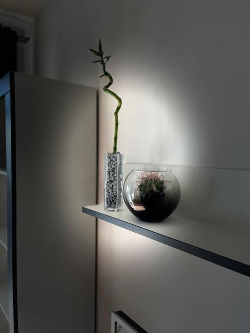 Apartmán Y&y