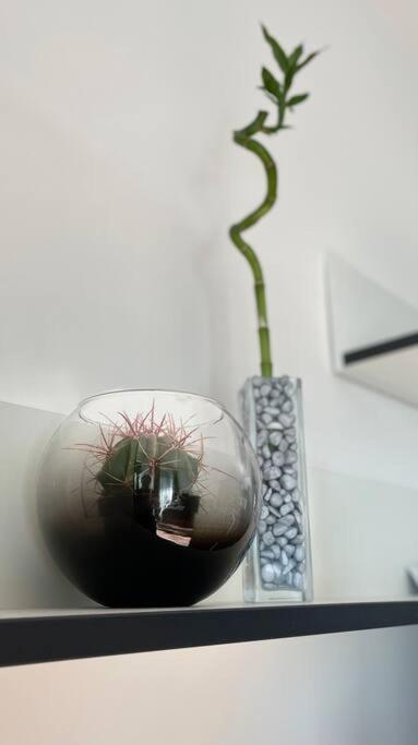 Apartmán Y&y *